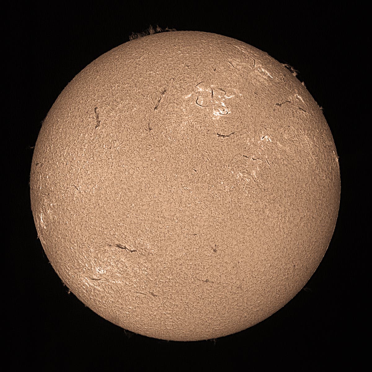 Sonne in H-alpha am 14.7.2013