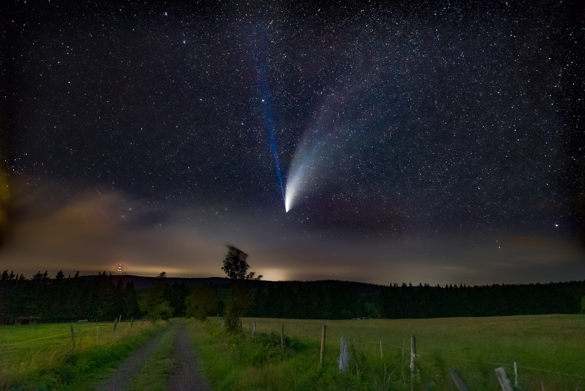 Komet Neowise auf der Herchenhainer Höhe aufgenommen
