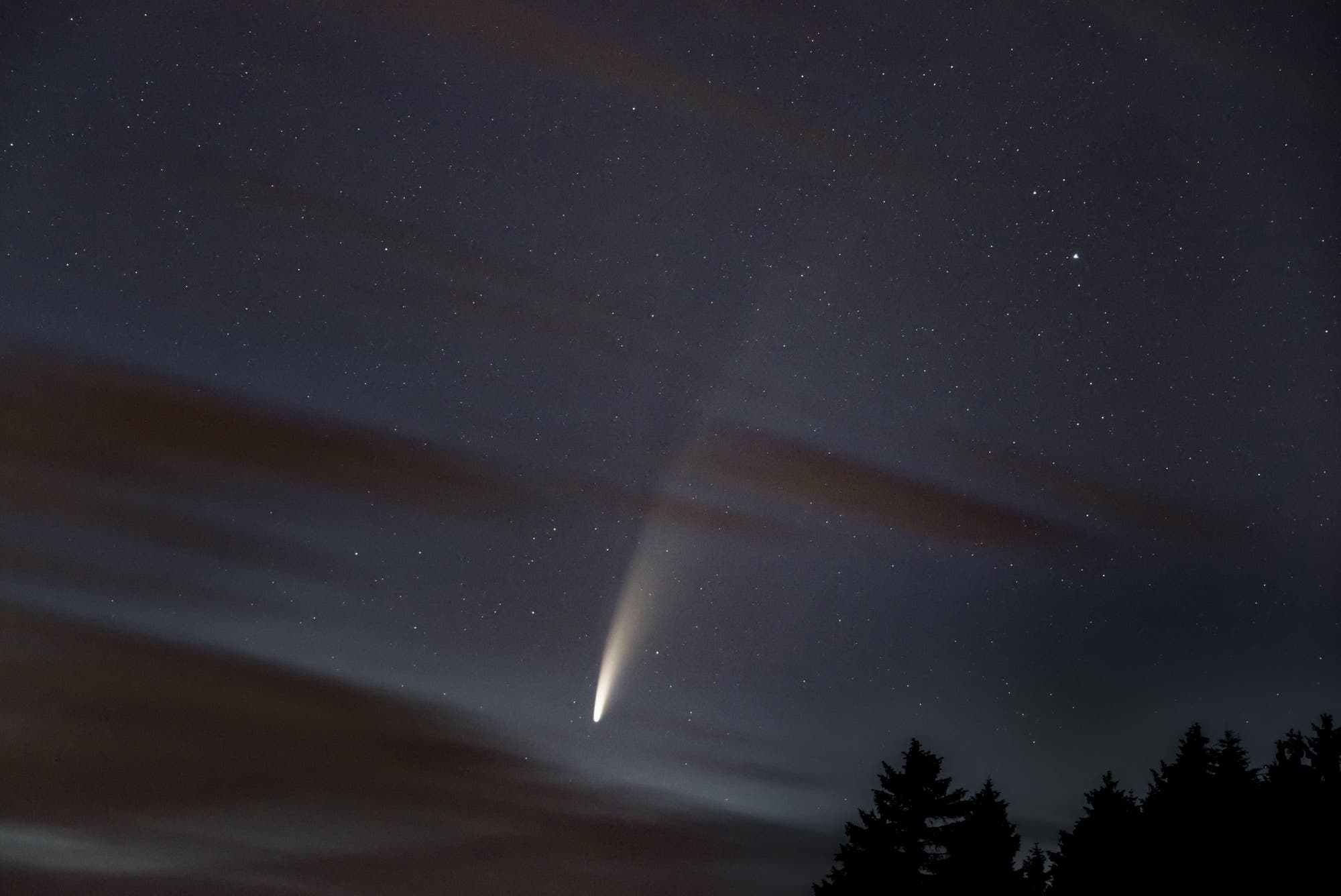 Komet Neowise heute morgen auf der Herchenhainer Höhe.