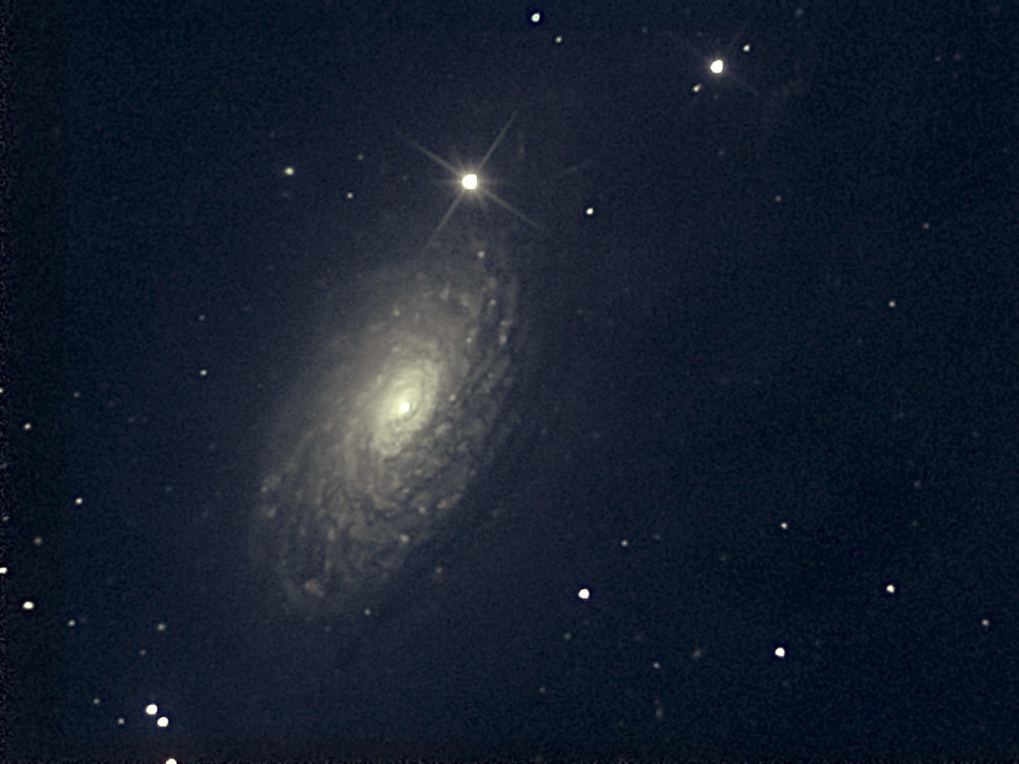 M 63 Sunflower-Galaxie