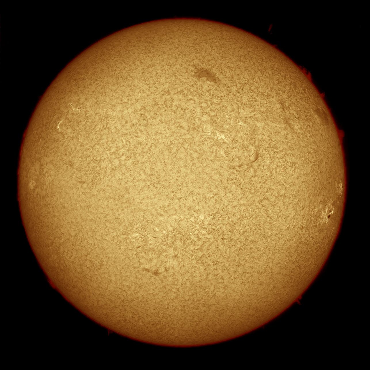 H-alpha-Bild der gesamten Sonne vom ITV 2013