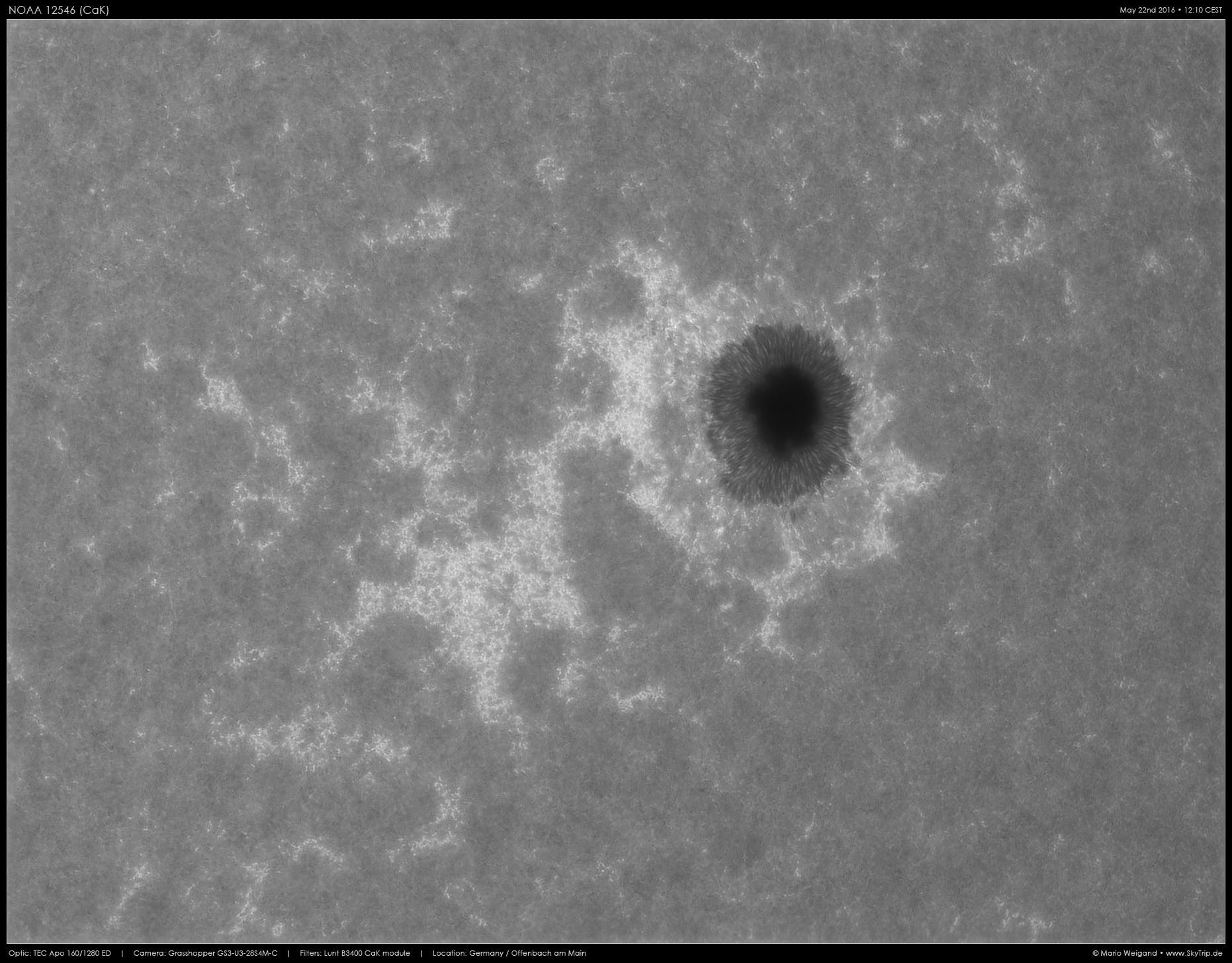 CaK-Aufnahme des großen Sonnenflecks NOAA 12546