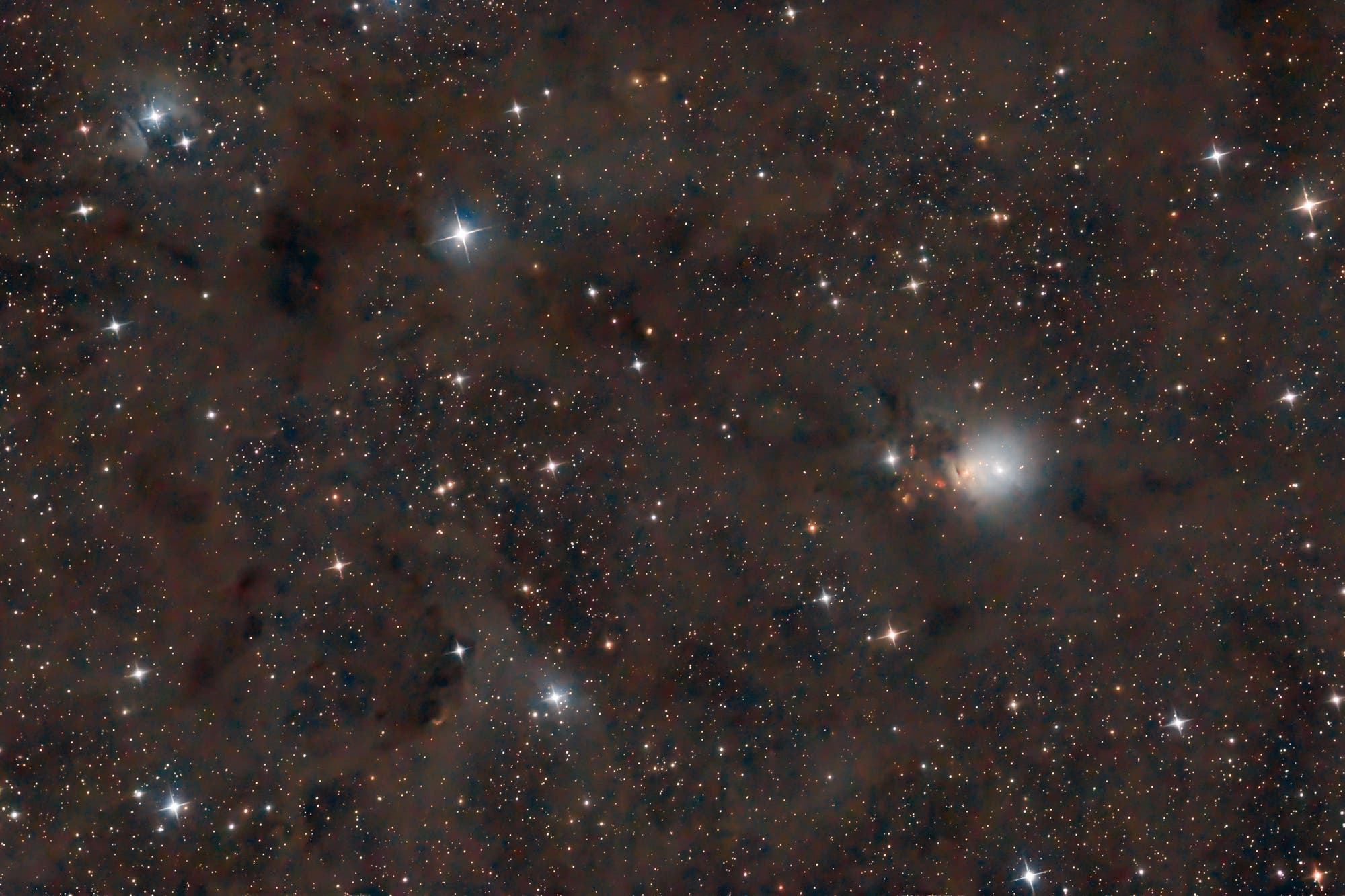 NGC 1333, Embryonebel