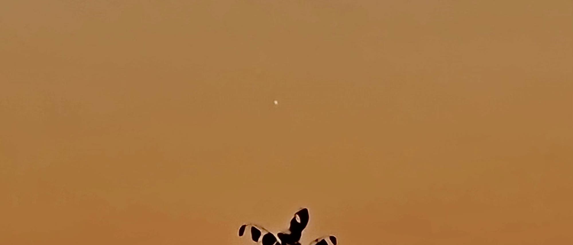 Venus am 22. September 2022