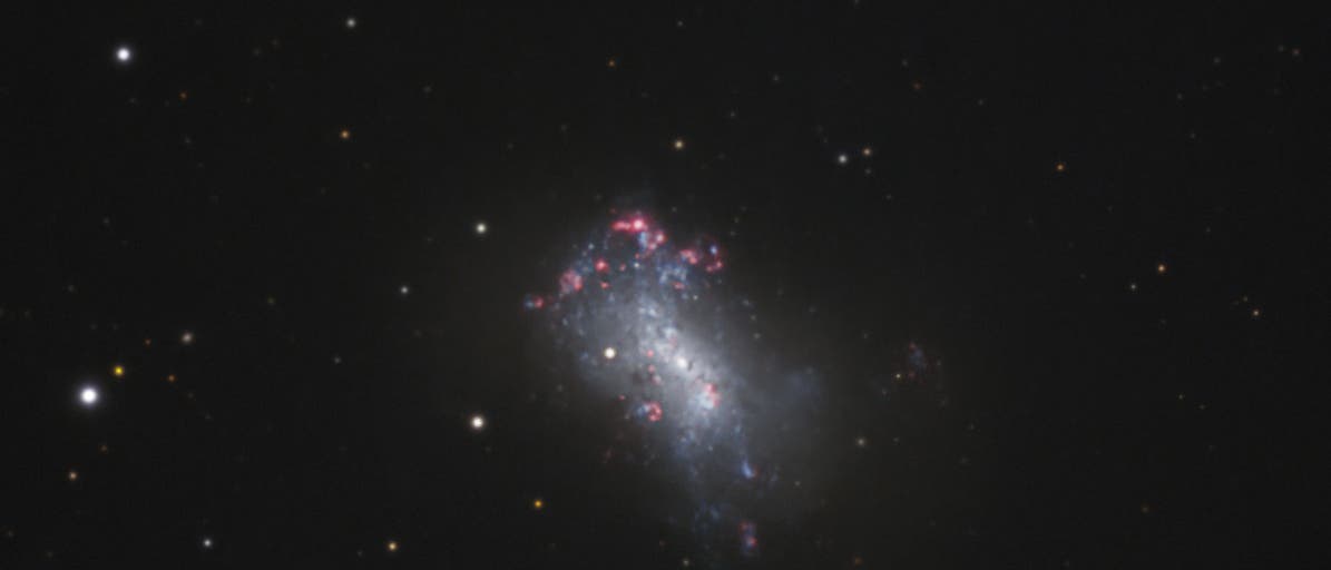 NGC 4449 Zwerggalaxie