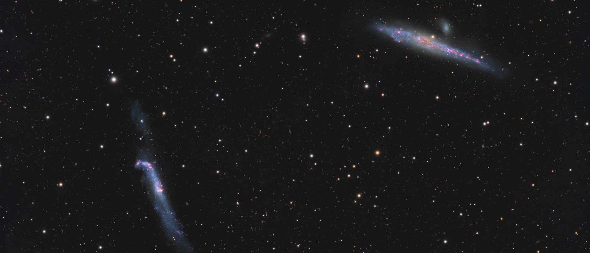 NGC 4656 + NGC 4631 - Die Wal- und Brecheisengalaxie