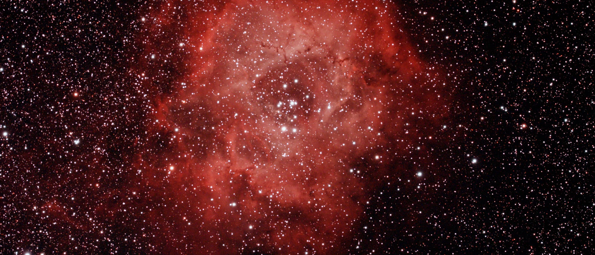 Der Rosettennebel NGC 2244