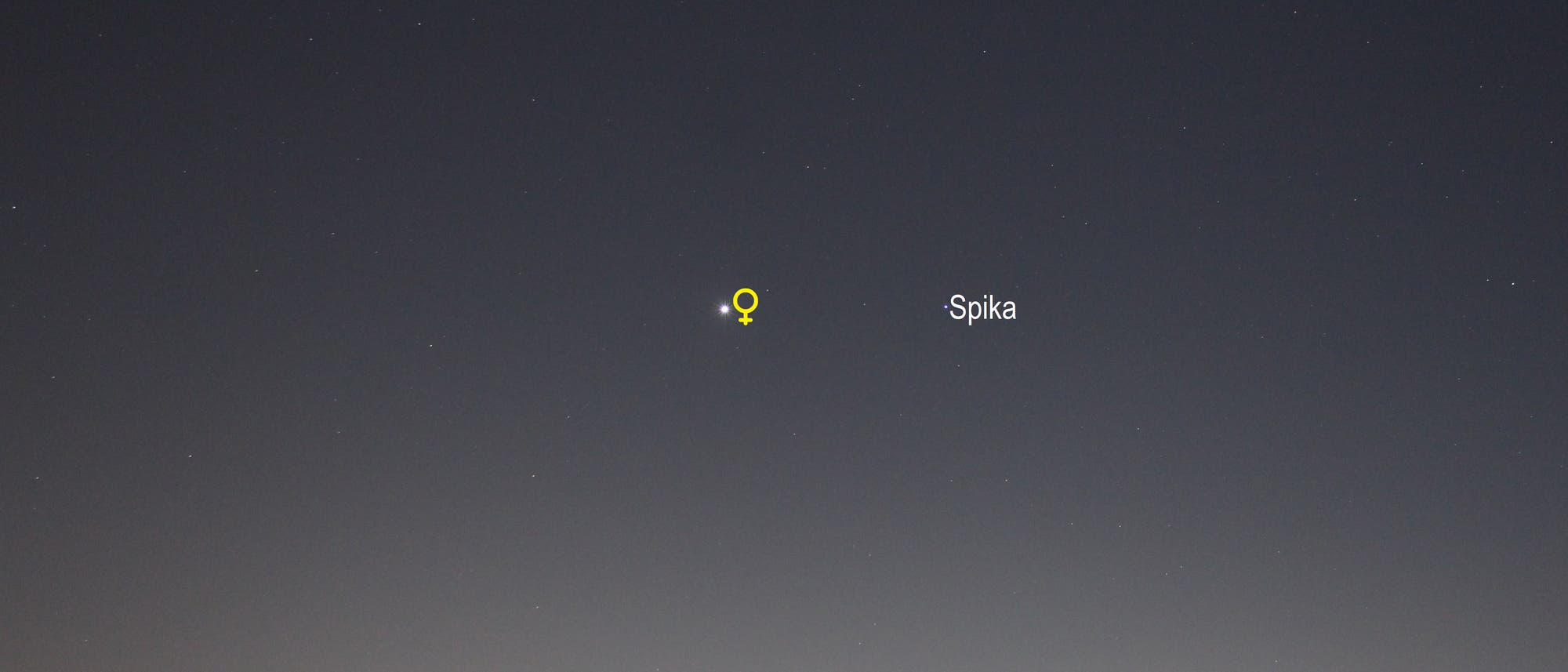 Venus am Morgenhimmel (Objekte beschriftet)
