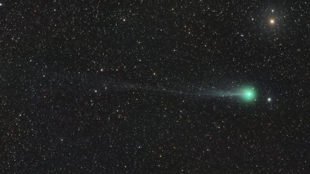 The ion tail of comet 12P/Pons-Brooks
