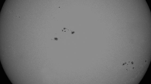 Sonnenfleckengruppe am 1. Oktober 2025