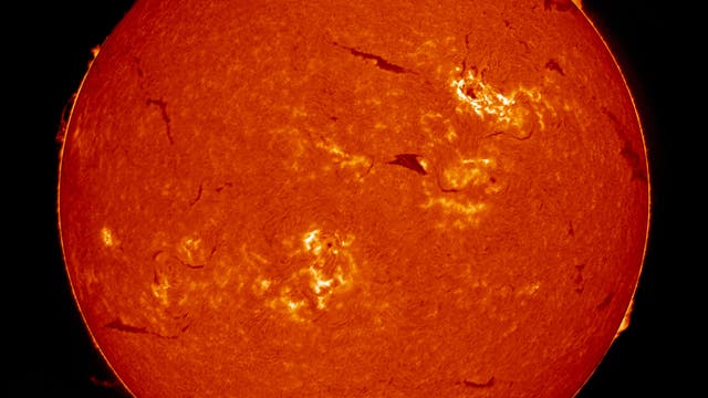 Vorbotin der Rekorderuption 2025: AR 4274 im H-alpha-Licht  