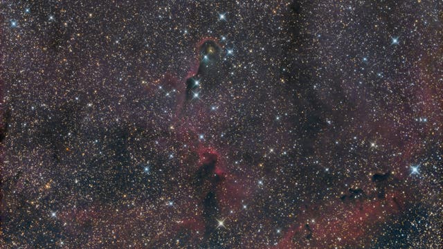 IC 1396, der Elefantenrüssel-Nebel