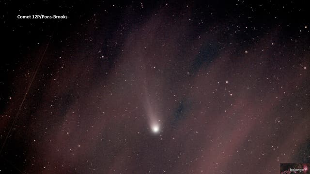 Komet Pons-Brooks