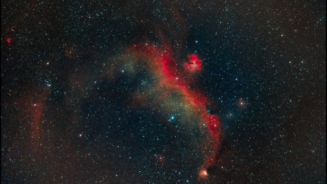 Nur eine Stunde Möwenflug – IC 2177 (Mon)