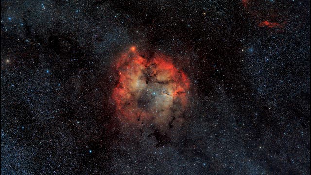 Erakis, LBN 455 und IC 1396 im Sternbild Kepheus