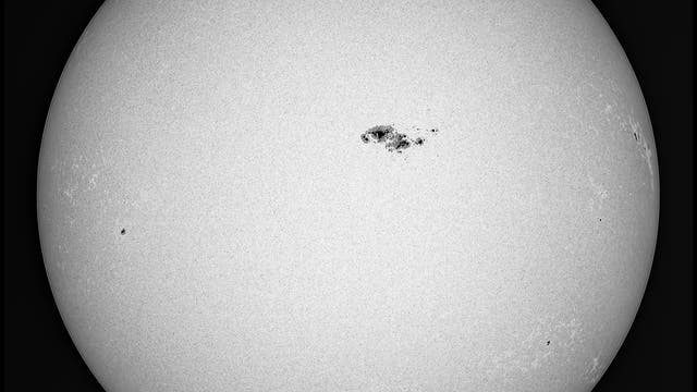 Sonnenflecke am 29. Juni 2023 - AR13354