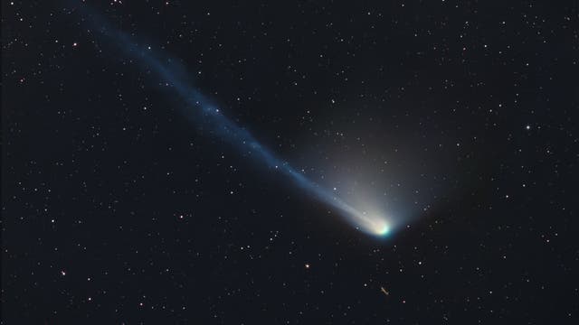 Komet Olbers im Maximum
