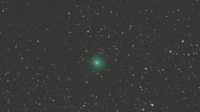 Komet 144P/Kushida im Stier