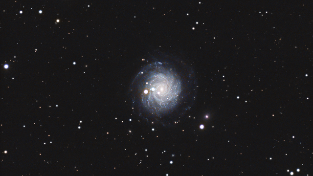NGC 3344 - im kleinen Löwen