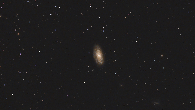 NGC 3953 im Großen Bären (Ursa Major)