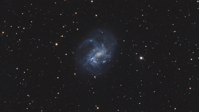 NGC 4395 in den Jagdhunden
