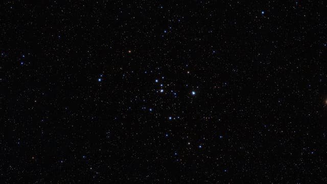 Messier 47 in Puppis
