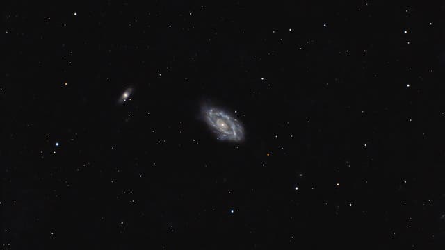 NGC 3646 im Löwen