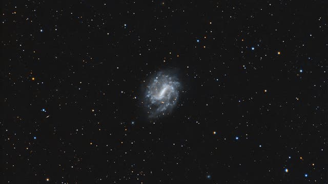 NGC 5964 in der Schlange
