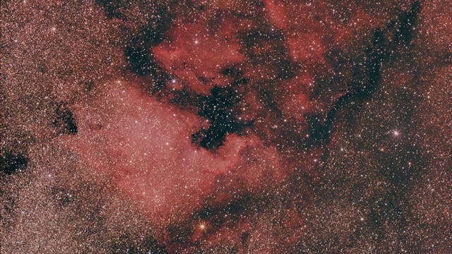 NGC 7000 unter lichtverschmutztem Himmel