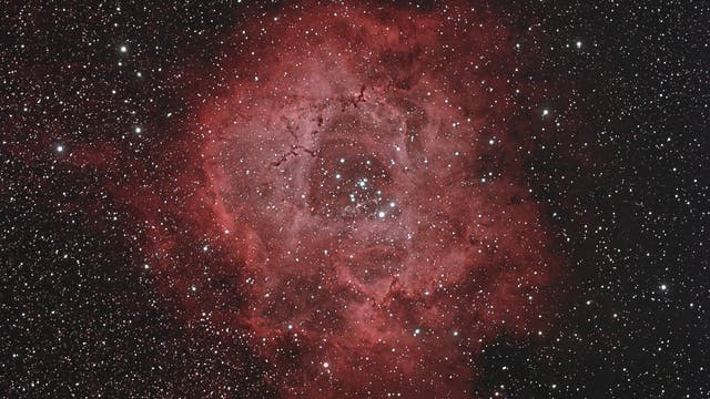 Rosettennebel mit NGC 2244