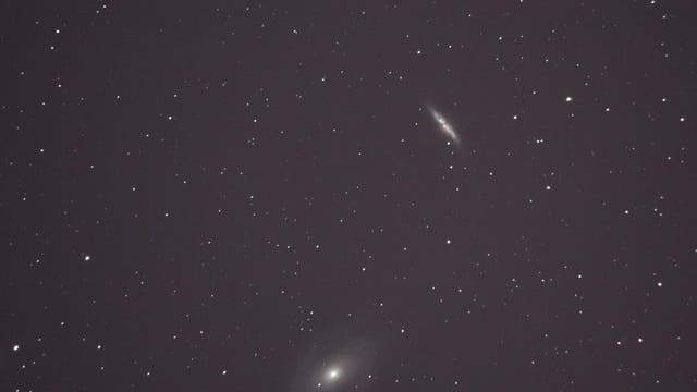 M 82 mit Supernova und M 81