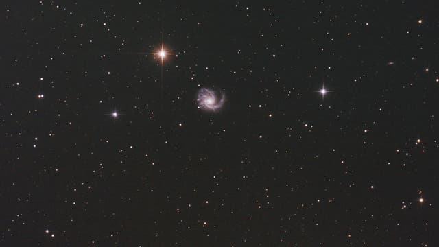 M99 - Galaxie in Coma Berenices