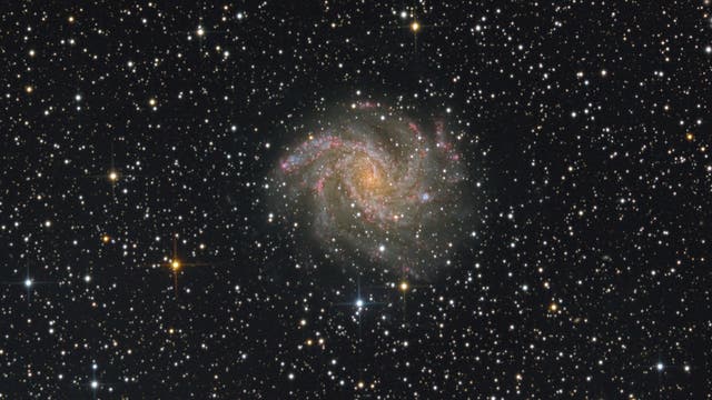 NGC 6946 Feuerwerksgalaxie