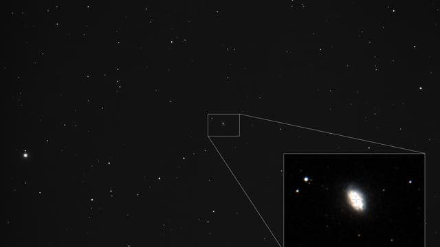 Supernova in NGC 3655