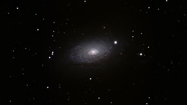 Sonnenblumengalaxie Messier 63 in den Jagdhunden