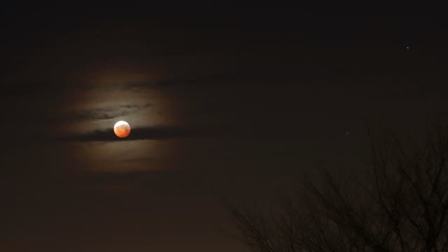 Verfinsterter Mond mit Korona am 21. Januar 2019 über Uelzen