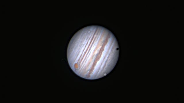 Jupiter und Ganymed von Borneo