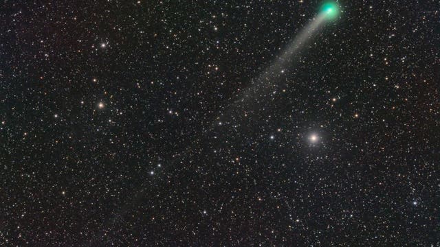 Comet C/2019 U6 (Lemmon)