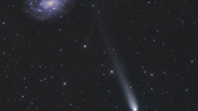 Komet C/2020 V2 ZTF bei Galaxie NGC 300