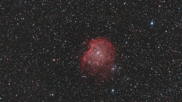 NGC 2174 / 2175 Monkey Head Nebula
