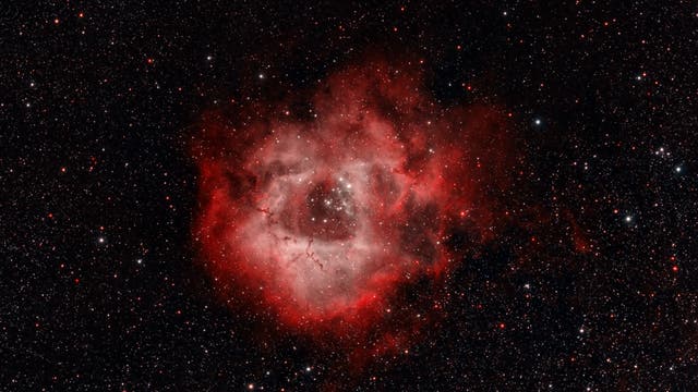 Der Rosettennebel mit dem Sternhaufen NGC 2244