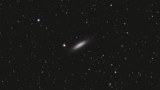 NGC 6503
