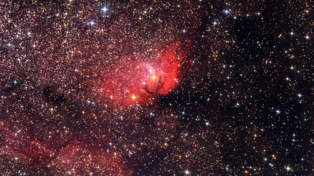 SH2-101 Tulip Nebula mit Cygnus X-1