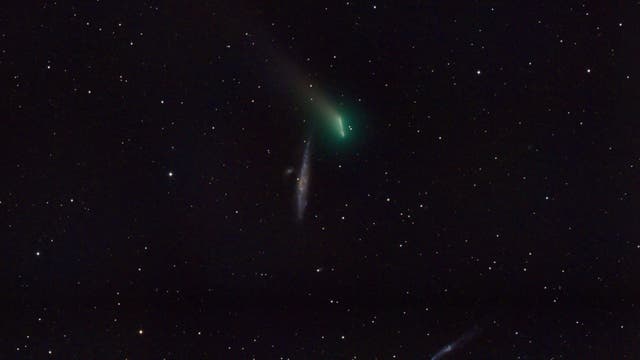 Komet C/2021 A1 Leonard neben NGC 4631