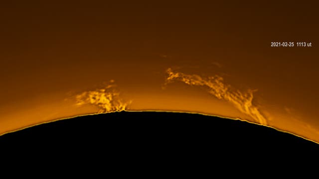 Sonnenprotuberanz am 25. Februar 2021