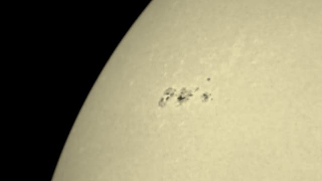 Sonnenfleckengrüppchen am 31. August 2021