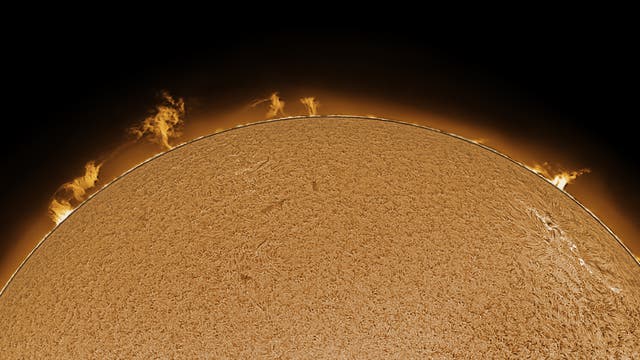 Sonnenprotuberanzen am 1. September 2021