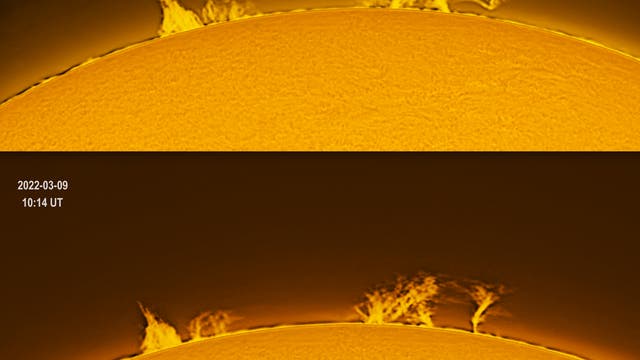 Sonnenprotuberanz am 9. März 2022