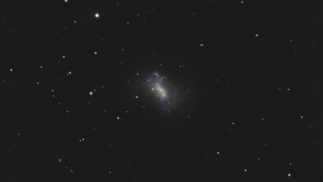NGC 4449