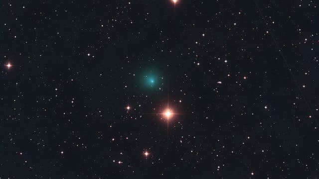 C/2022 P1 NEOWISE